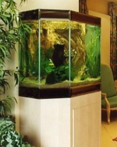 aquarium standard maison de retraite, LYON