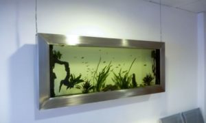 aquarium suspendu l'o 160, cabinet de chirurgie esthétique, BORDEAUX