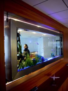 tableau aquarium suspendu NEMO 240, 600kg, entreprise , LYON