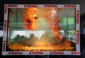 aquarium legs, carotets et poissons, artiste enora, inauguration d'un cabunet d'architectes, BORDEAUX