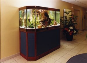 aquarium décor roche et bois central, maison de retraite, LYON