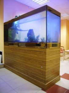 aquarium standard maison de retraite, PARIS