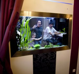 tableau aquarium encastré l'O douce 140, particulier , PARIS