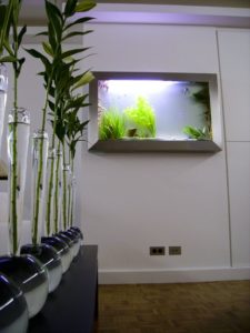 tableau aquarium mural l'O douce 140, particulier , PARIS