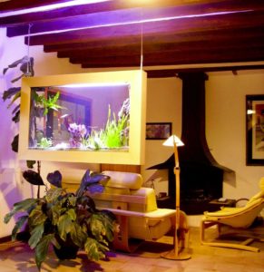 tableau aquarium suspendu l'O douce 140, particulier , PARIS