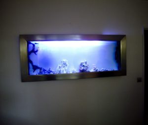 tableau aquarium suspendu l'O de mer 160, particulier , PARIS