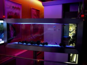 tableau aquarium suspendu l'O douce 160, planète sushi , PARIS