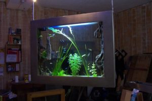 tableau aquarium suspendu révélation, showroom BORDEAUX